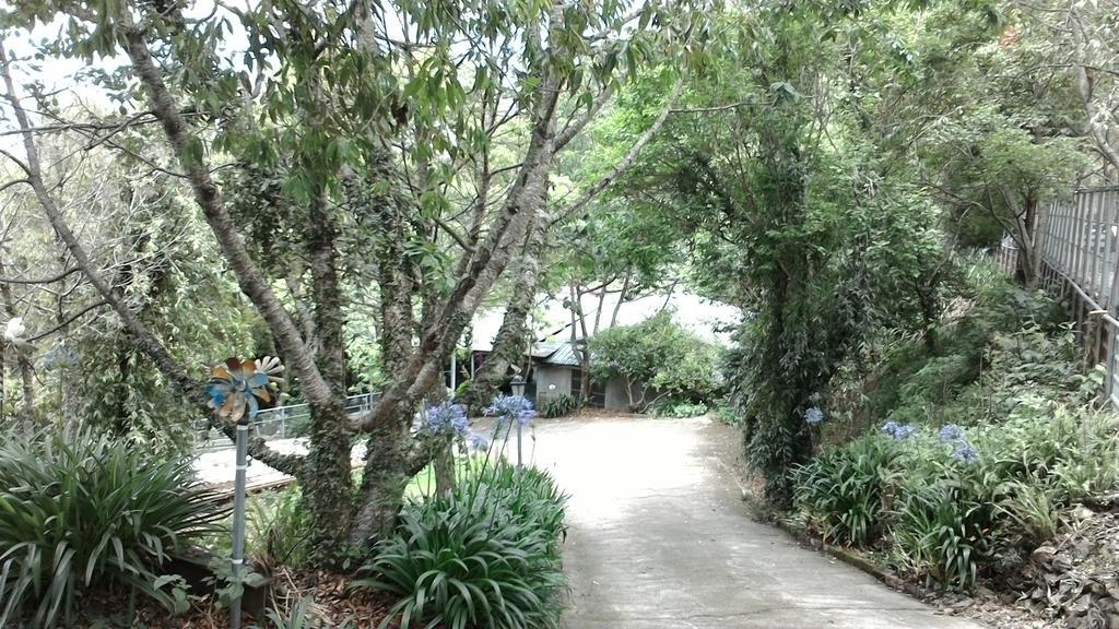 Qing Jing Xiao Taiyang Jingguan Homestay Renai Exterior photo